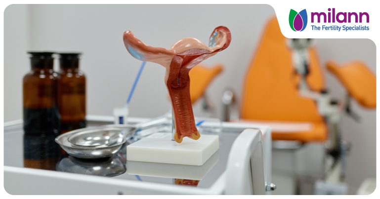 How Does Fertility Change in Your 20s, 30s, and 40s?